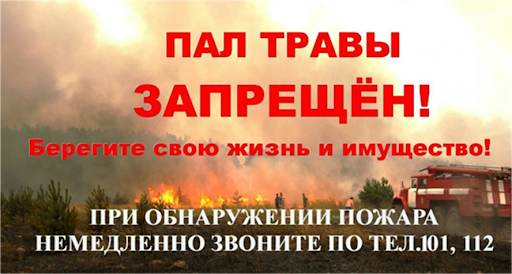 pal travy zapreschen